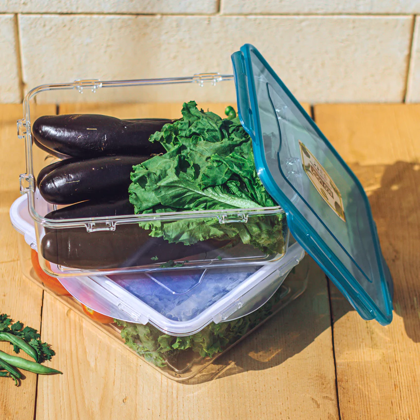 Eco Lock Food Keeper - Medium - Image 3